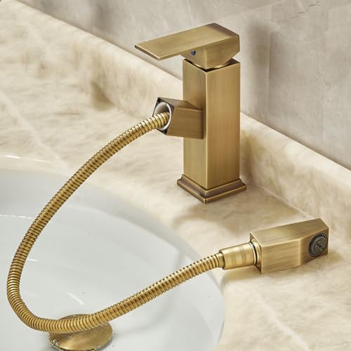 BiaoTeng ʑ ֌ AeB[N Lk  VOo[  ␅ ^J  ֌ g 1