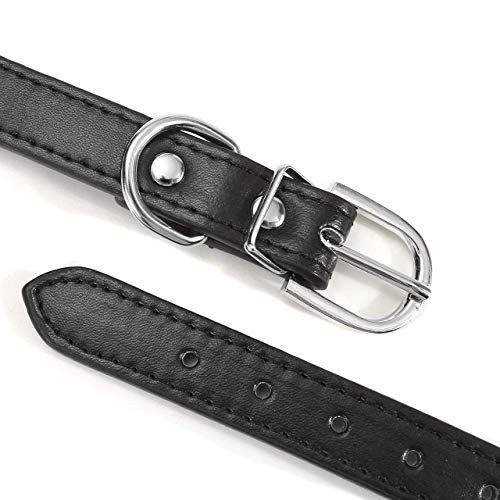 Collare Cane Nero per Cani, Design Collare Cane