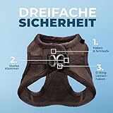 Voyager Step-In Plüsch-Hundegeschirr by Best Pet Supplies - Step-In-Westengeschirr für kleine und mittelgroße Hunde, Weicher Plüsch, Schokolader, size M - Brust 40- 45 cm