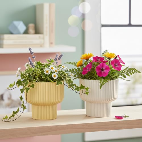 Image of Xtore Chic Ribbed Ceramic Planter Set for Indoor Plants | Modern Decorative Flower Pots for Living Room, Office Desk, Shelf & Tabletop Greenery (Set of 2, Planters only)