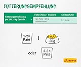 JOSERA Paté Ente & Huhn mit Petersilie (16 x 85 g) | Adult | Premium Nassfutter für ausgewachsene Katzen | Pastete Ente & Huhn | Lachsöl | getreidefrei | Katzenfutter nass im Frischebeutel |16er Pack