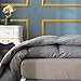 Globon Winter Down Comforter King Size,Heavyweight Duvet Insert for Clod Sleepers,Noiseless Soft Shell,with 8 Corner Tabs,Grey