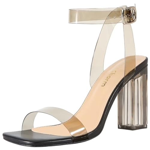 Image of Women's Clear Chunky Block Heeled Sandals 3.74 Inches Open Toe Ankle Strap Block High Heel Sandal Dress Dancing Sandals Daily Work Party Shoes