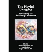 The Playful Universe