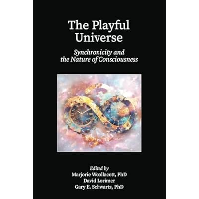 The Playful Universe