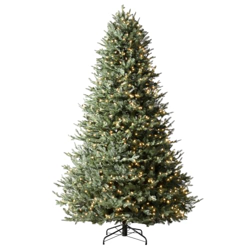 BH Balsam Fir