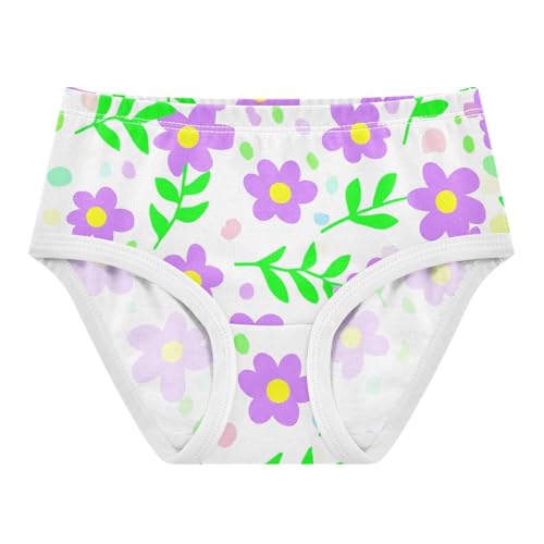 Toddler Girls Underwear 2t Cotton Cute Panties Girl Colorful Briefs Girls Undies Purple Flowers Floral Spring