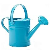 🌷 Paket beinhaltet: 1 x Gießkanne