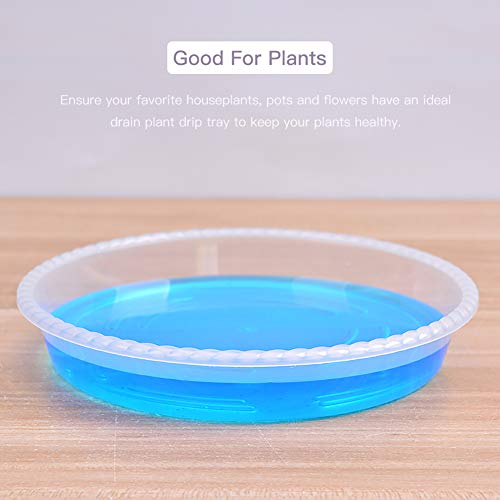 CandyHome 6 Pieces of 10 Inch Plastic Clear Plant Saucers Pot Trays for Indoor Outdoor Household and Garden Assorted, 1-White