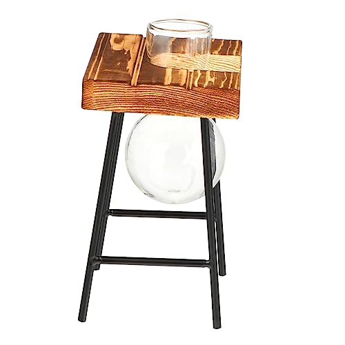 Kisangel 1pezzi Vaso Idroponico Trasparente Con Base Per Piante Da Tavolo Terrarium Decorativo Per Tagli Di Vite e Fiori Freschi Per Ufficio e Casa