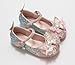 Girls' Princess Shoes Fashionable Bow Tie Kids' Low Heel Soft Sole for Cosplay Performances Leather Mary Janes Crystal Sequins Dance Shoes Pink 10.5 M Little Kid