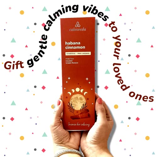 Havana Cinnamon Incense Stick Exotic - Calming Meditation Incense (80 Sticks) Charcoal Free, Made From Upcycled Flowers | Give Gift Of Fall Incense With Spicy & Sweet Tobaco Aroma (Incienso De Canela) #TOP6