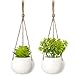 Mkono Mini Plant Car Hanging 2 Pcs Handmade Rear View Mirrior Car Charm Jute Hanging Planter with Ceramic Pot and Faux Succulent Plant for Car Home Decorations Christmas Gift, Approximate 8 inch