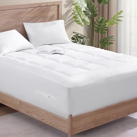 Casa Platino California King Mattress Protector Cover