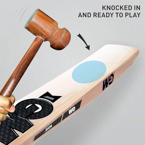Image of SAG English Willow Cricket Bat, Size 5, Professional Grade, Natural Wood, 60 cm Length, 1000 Grams, Leather Handle and Grip, Traditional Shape with Thick Edges, Full Bat Cover Included