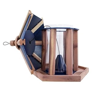 Amish made cedar recycled plastic gazebo feeder with blue roof  urban country home decor