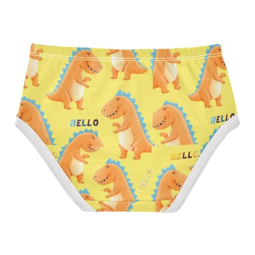 Joisal Cute Cartoon Orange Dinosaur Toddlers Underwear Floral 2t Cotton Little Girl Panties Aesthetic Briefs Underpants2