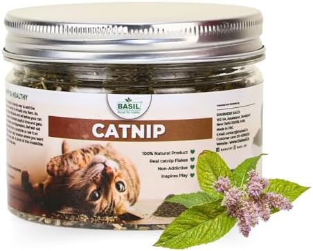Buy emily pets Catnip Toy Natural Silvervine Catnip Toy | Cat Toys ...