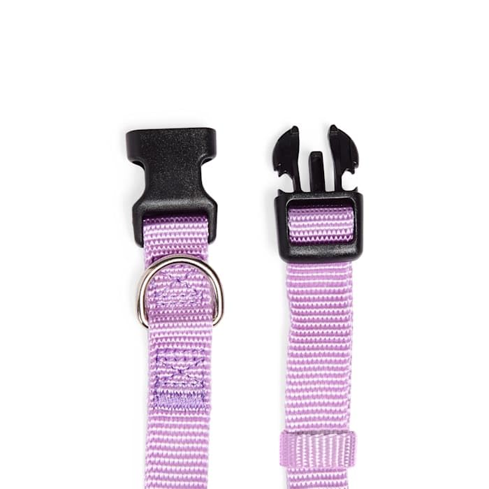 Collar ajustable para perro grande color lavanda miniatura 4