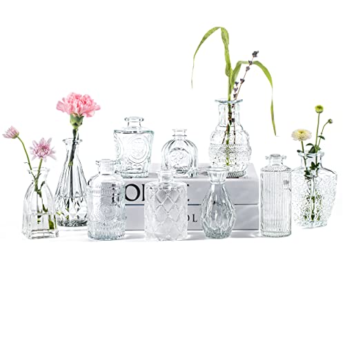 PURVONNIE Vintage Small Vases for Flowers Set of 10, Mini Bud Vases for Flowers,Clear Small Vases in Bulk for Centerpieces Decorations,Wedding Party Home Coffee Table Flower Decor (Clear)