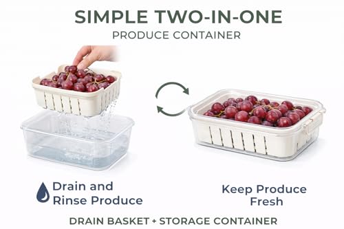 Image of Vasukie Divided Fridge Storage Boxes With 4 Serving Veggie Tray with Lid and Handle, Fridge Organizer with Removable 4 Compartment, Fridge Storage Containers (1 Small Compartment - 1PC)