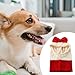 Baoblaze Dog Warm Winter Cover Hoodie Head Wrap Cat Hat Costume for Camping Training Outdoor Activity Christmas Puppy, Red L