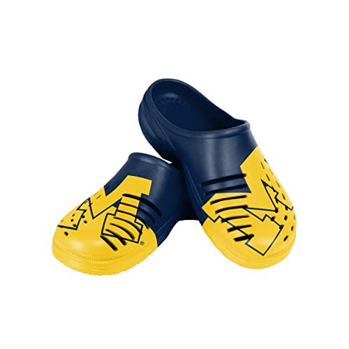 Image of FOCO Men's NFL Team Logo Garden Water Sandals Shoes Slipper Clogs