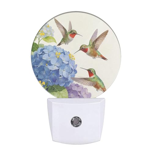 Image of Bird LED Lighting Green Hummingbird on Branch Night Lights Plug into Wall with Dusk to Dawn Sensor for Bedroom Bathroom Living Room, 0.5W Sleep Friendly