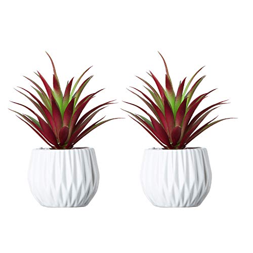 2Pcs Artificial Succulent Plants in Ceramic Pots - 7.5 in. Faux Succulent Greenery Cactus Cacti Bonsai Plant Sets Tabletop Shelf Decor