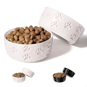 Ceramic Dog Bowl Set of 2 with Anti-Skid Base – 5″ Wide x 2″ Tall Ceramic Dog Bowls for Small Dogs – 2 Cup Capacity Food and Water Bowls for Dogs – Rubber Bottom Pet Bowl Set of 2 for Small Pets