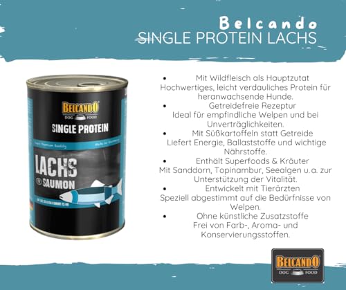 Belcando Single Protein Lachs 12x400g - reines Nassfutter ohne Zusätze – ideal bei Futterunverträglichkeiten, im praktischen Sparpaket.