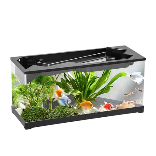 Aquarium hydroponique compact pour petits espaces avec système d'aération inclus - 2