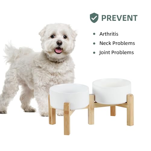 Gamelles en céramique Havniva avec support réglable 2 hauteurs pour chien