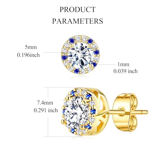 Round Cut Clear Cubic Zirconia Stud Earring for Women and Men, 14K Yellow Gold Plated Hypoallergenic Halo Earrings with Blue CZ4