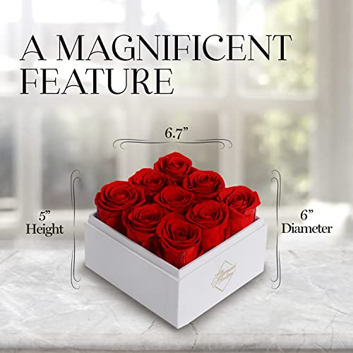 GLAMOUR BOUTIQUE Preserved Roses in a Box - Valentines Day Gifts for Her, Wife & Mom, 9-Piece Rose Forever Flowers Decor for Birthday Gift, Long Lasting Flower Bouquet for Mothers Day - Red