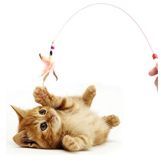 Kattenhengel: Waarom jouw kat er dol op is. 20x de Beste 2 DIGIFLEX Katten Bouncy Rod met Bell en Veren 36" - Speelspeelgoed voor Katten