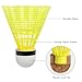 TsuvyXeg Badminton Shuttlecocks Birdies Balls Nylon Stable Durable for Indoor Outdoor Sports Training 6pcs