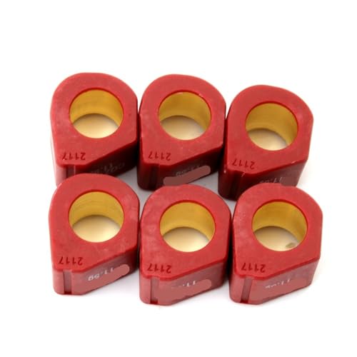 Galets de variateur 21x17mm 11.5g pour scooter X8 X9 et GT 200 250
