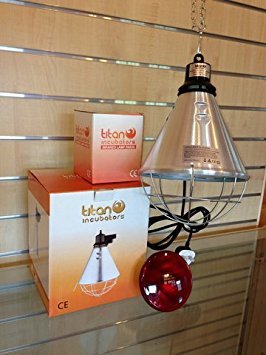 Philips Infra Red Heat Bulb 175W