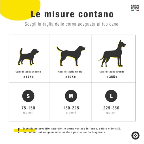 Animal House - Büffelgeweih für Hunde - 100% natürliches Kauen - Stärkt die Mundhygiene - Robust und Langlebig - Erhältlich in Allen Größen - Tierversuchsfrei (1, M)