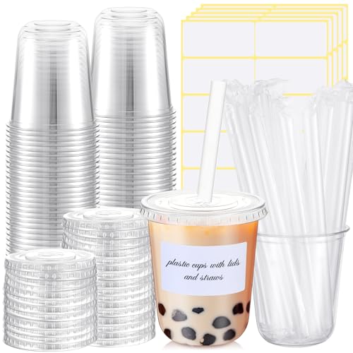 Ziliny 25 Sets Crystal Plastic Clear Cups with Lids Straws and Stickers Disposable Iced Coffee Cups Thickened PET for Iced Coffee Bubble BobaTea Smoothie Cold Drinks Juice Shops (14 oz)