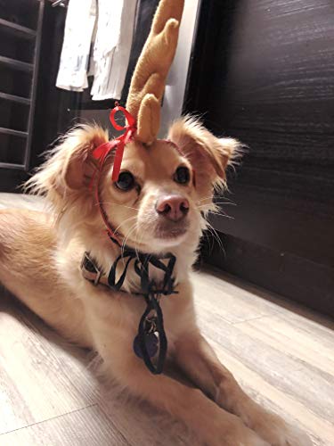 Disfraz de reno para perro XL con diadema ajustable miniatura 3