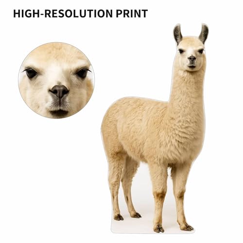 Image of Alpaca 3FT Life Size Cardboard Cutout - A Fun Animal Standup for Photo Booths, Birthday Parties, and Events