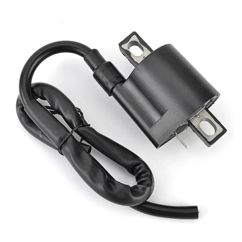 �C�O�j�b�V�����R�C�� �ɓK������ �X�Y�L LTF400F LTA400 LTA400F �L���O�N�A�b�h400 4WD TU250 GS125 DR125 33410-01X50 33410-05210 33410-26G00 �C�O�j�b�V�����R�C���A�Z���u��