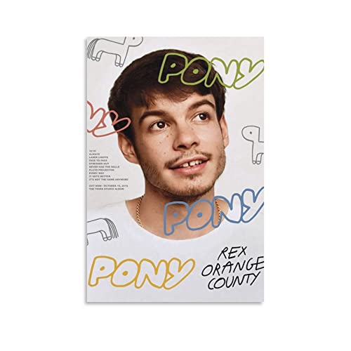 Poster Rex Orange County Pony 6 (2) décoration murale chambre ou bureau 50x75 cm