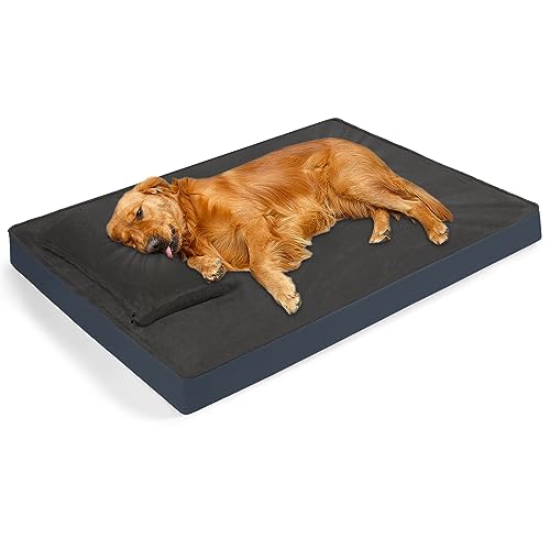 XL Dog Beds The 15 best products compared Wild Explained