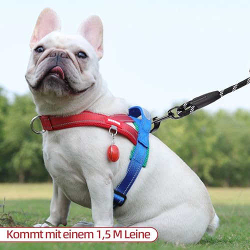 LiebeDD Hundegeschirr mit Leine für Mittelgroße Kleine Hunde Welpen, Bunt Farbblock Geschirr, Mesh Gepolstert Brustgeschirr Hund mit Griff und Brustring, Reflektierend & Leicht, RotBlau, S