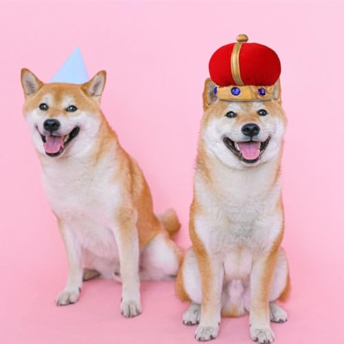 Disfraz con corona y capa para perro estilo bohemio miniatura 4