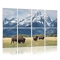 8 Pack Art Acoustic Panels Sound Absorbing Panels, 48x32 Inches American Buffalo Decorative Acoustic Wall Panels Soundproofing Acoustic Panels