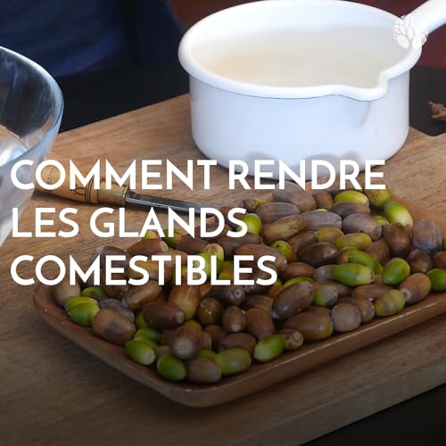 Page de couverture de Comment rendre les glands comestibles